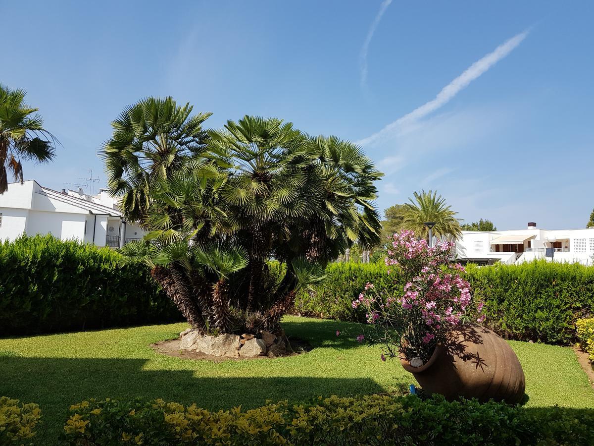 Venecia Apartments بورت ذالكوذيا المظهر الخارجي الصورة